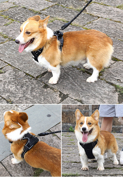 PawLuxe SecureStride Harness